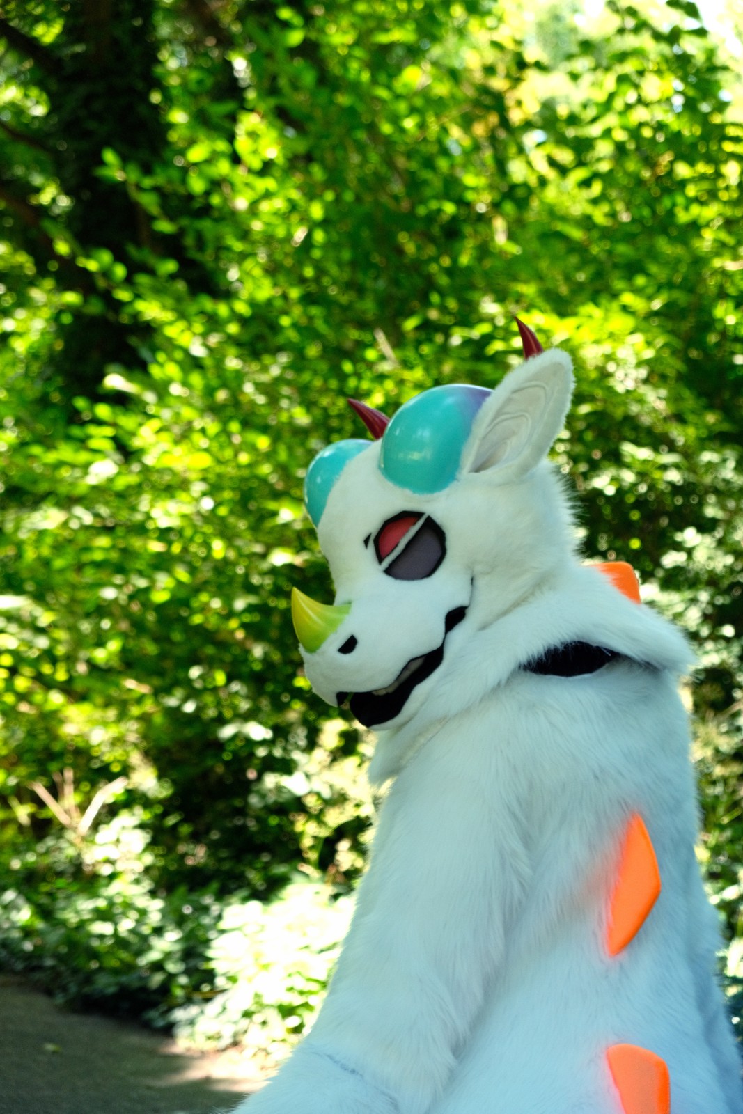 Snippy (Dragon)